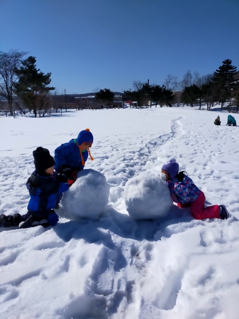 清田中央公園で雪遊び！雪玉を転がしこんなにおおきくしましたよ！やっぱり北海道の冬は楽しいですね～